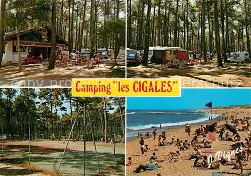 Moliets_Plage Camping les Cigales Le Camping sous les pins pres de l Ocean Moliets_Plage