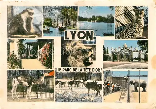 Lyon_France Le Parc de la Tete dOr Details Lyon France