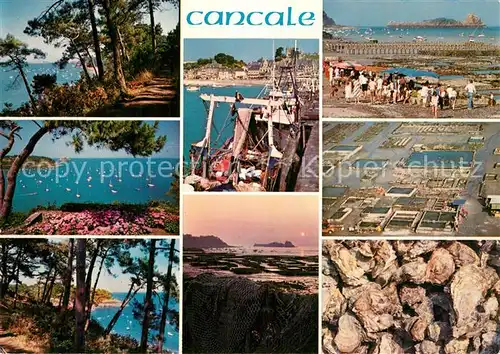 Cancale Le sentier des douaniers la baie de Port Mer le port de la Houle et les parcs a huitres Cancale