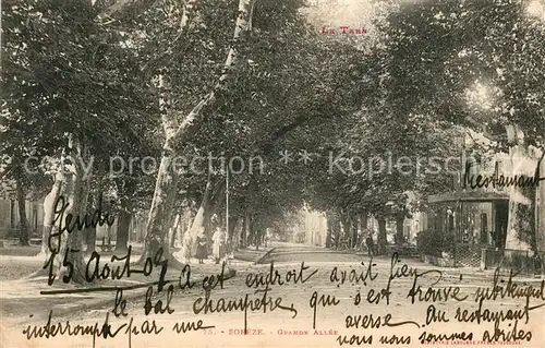 AK / Ansichtskarte Soreze Grande Allee Soreze