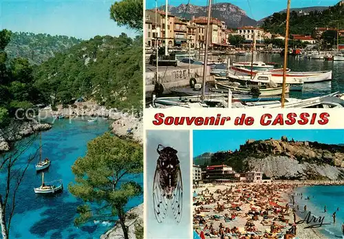 AK / Ansichtskarte Cassis Calanque du Port Pin Le Port La Plage et le Chateau Cassis