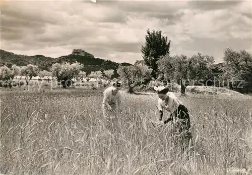 AK / Ansichtskarte Arles_Bouches du Rhone Paysage Provencal et Arlesiennes Arles_Bouches du Rhone