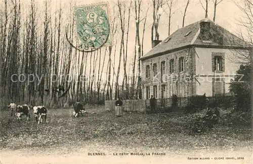 AK / Ansichtskarte Blennes Petit Moulin Prairie Blennes