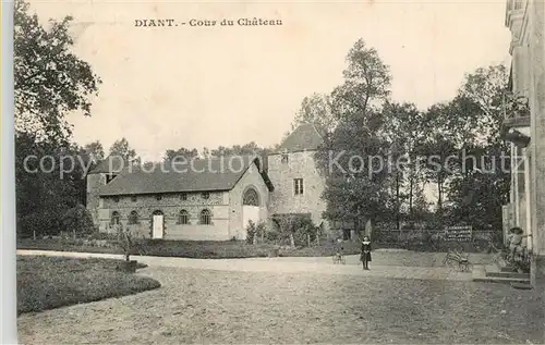 AK / Ansichtskarte Diant Cour du Chateau Diant