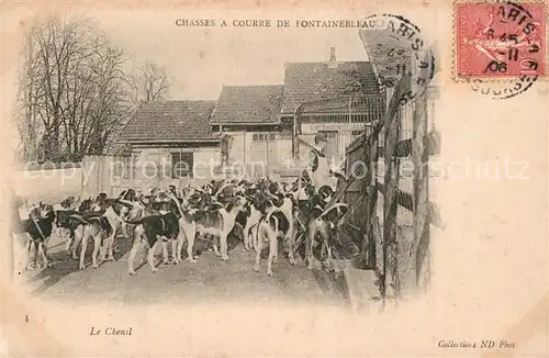 AK / Ansichtskarte Fontainebleau_Seine_et_Marne Chasses a Courre Chenil  Fontainebleau_Seine