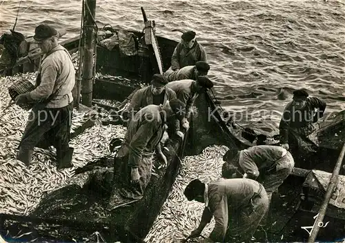 AK / Ansichtskarte Douarnenez Rentree de bateaux au port apres la peche aux sprats Douarnenez