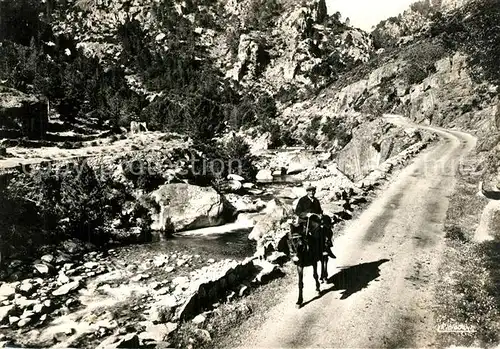 AK / Ansichtskarte Corte La Restonica Corte