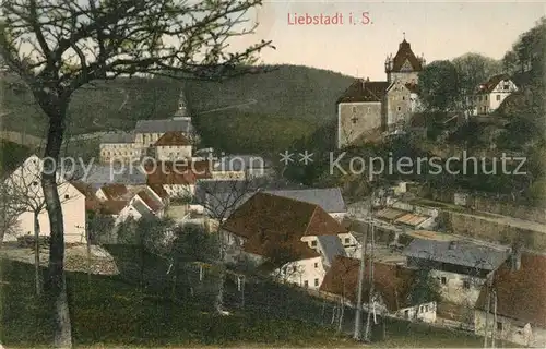 AK / Ansichtskarte Liebstadt Panorama Liebstadt