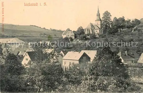 AK / Ansichtskarte Liebstadt Panorama Kirche Liebstadt