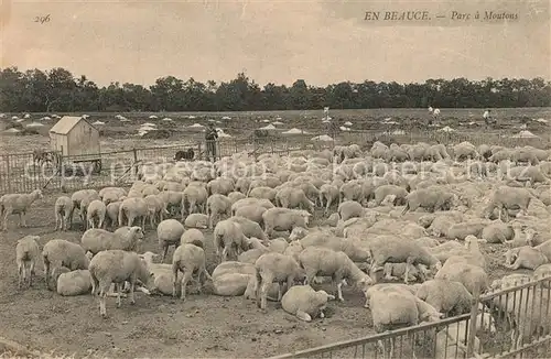 AK / Ansichtskarte Mouthiers sur Boeme Parc a moutons Mouthiers sur Boeme