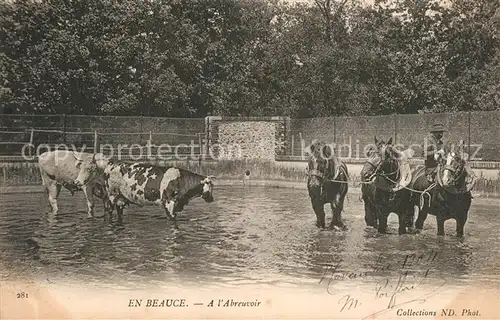 AK / Ansichtskarte Beville le Comte A l abreuvoir Beville le Comte