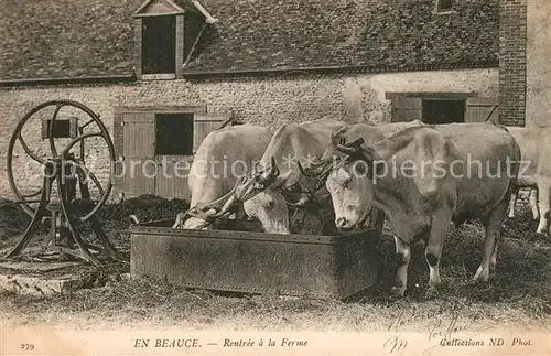 AK / Ansichtskarte Sours Rentree a la ferme Sours