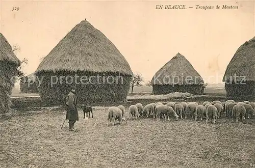 AK / Ansichtskarte Clevilliers Troupeau de moutons Clevilliers