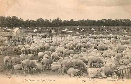 AK / Ansichtskarte Moutiers_Chartres Parc a moutons Moutiers Chartres