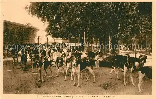 AK / Ansichtskarte Cheverny Chateau Le Chenil La Meute Cheverny