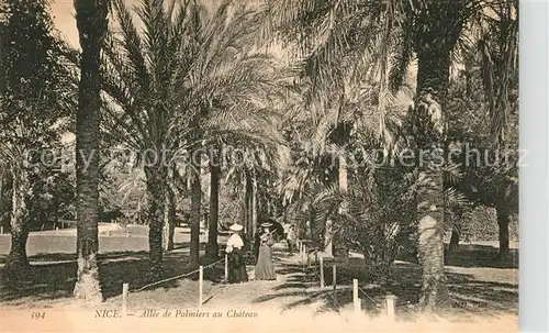 AK / Ansichtskarte Nice_Alpes_Maritimes Allee de Palmiers au Chateau Nice_Alpes_Maritimes