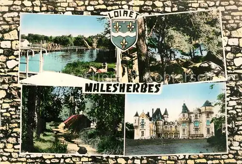 AK / Ansichtskarte Malesherbes La Baignade Les Rochers Essonnes et le Lavoir le Chateau de Rouville Malesherbes