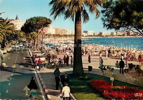 AK / Ansichtskarte Cannes_Alpes Maritimes La Croisette Cannes Alpes Maritimes