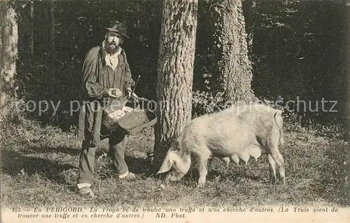 AK / Ansichtskarte Perigord La Truie vient de trouver une truffe Porc Perigord