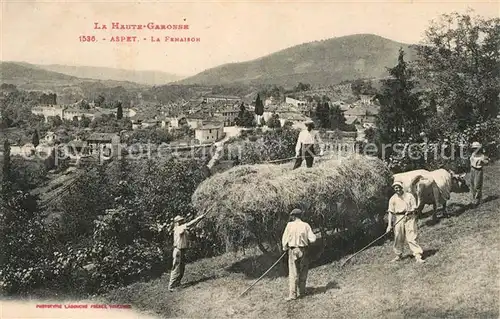 AK / Ansichtskarte Aspet La fenaison Heuernte Landwirtschaft Aspet