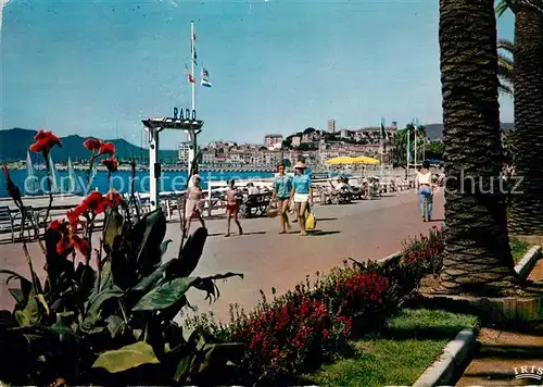 AK / Ansichtskarte Cannes_Alpes Maritimes Parterres fleuris sur la Croisette Cannes Alpes Maritimes