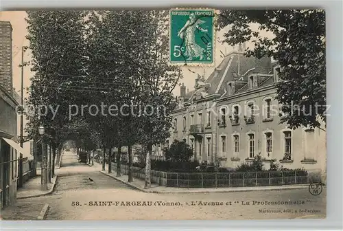 AK / Ansichtskarte Saint Fargeau_Yonne Avenue et La Professionnelle Saint Fargeau Yonne
