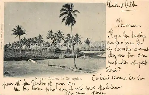 AK / Ansichtskarte Cocales_Mexico La Conception 