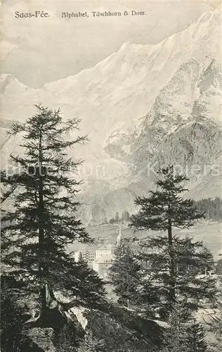 AK / Ansichtskarte Saas Fee Alphubel Dom Taetschhorn Saas Fee