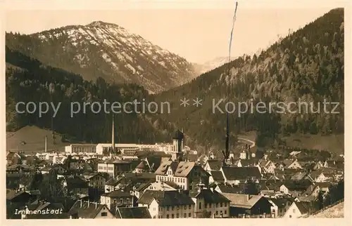 AK / Ansichtskarte Immenstadt_Allgaeu Panorama mit Steineberg Stuiben Immenstadt_Allgaeu