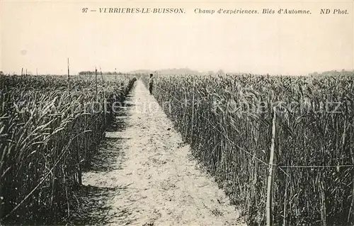 AK / Ansichtskarte Verrieres le Buisson Champ dexperiences Bles d Automne Verrieres le Buisson