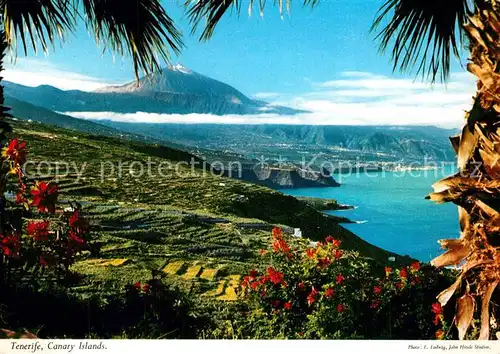 AK / Ansichtskarte Tenerife  Tenerife