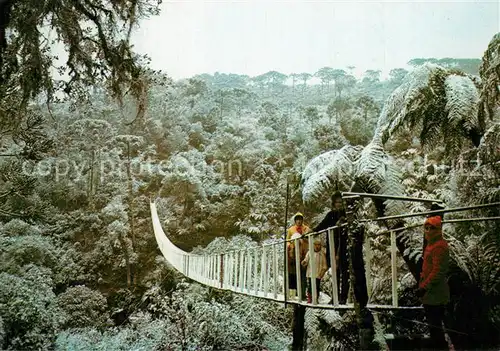 AK / Ansichtskarte Brasilien Sao Joaquim H?ngebr?cke Brasilien