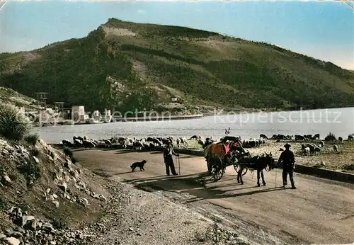 AK / Ansichtskarte Castillon_Alpes Maritimes Transhumants  Castillon_Alpes Maritimes