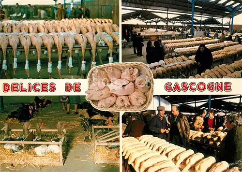 AK / Ansichtskarte Gers Marche aux oies grasses Gers