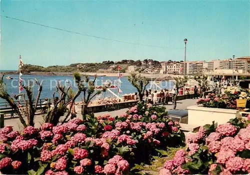 AK / Ansichtskarte Saint Jean de Luz Plage Hortensias Promenade Sainte Barbe Saint Jean de Luz