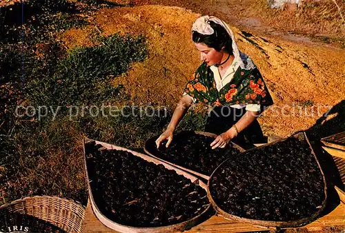 AK / Ansichtskarte Agen_Lot_et_Garonne Agenaise Costume Folklorique Triage de la Prune Agen_Lot_et_Garonne