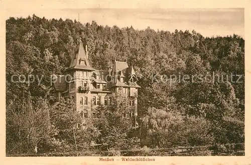 AK / Ansichtskarte Meissen_Elbe_Sachsen Waldschloesschen Meissen_Elbe_Sachsen