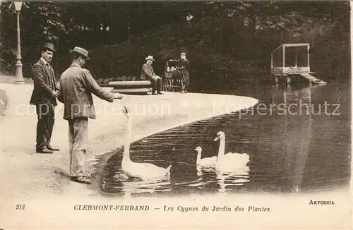 AK / Ansichtskarte Clermont Ferrand Les Cygnes du Jardin des Plantes Clermont Ferrand