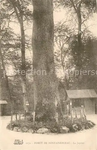 AK / Ansichtskarte Fontainebleau_Seine_et_Marne Le Jupiter Fontainebleau_Seine