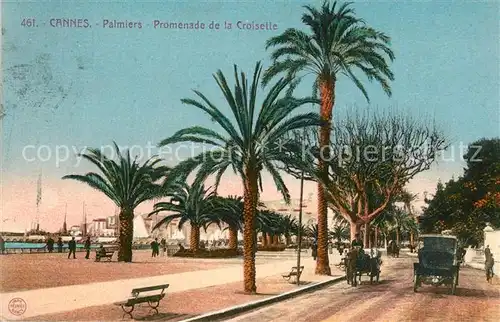 AK / Ansichtskarte Cannes_Alpes Maritimes Palmiers Promenade de la Croisette Cannes Alpes Maritimes