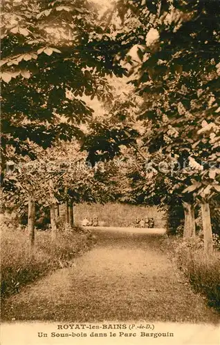AK / Ansichtskarte Royat_les_Bains Un Sous bois dans le Parc Bargouin Royat_les_Bains