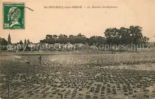 AK / Ansichtskarte Saint Michel sur Orge Le Marais Guilloteaux Saint Michel sur Orge