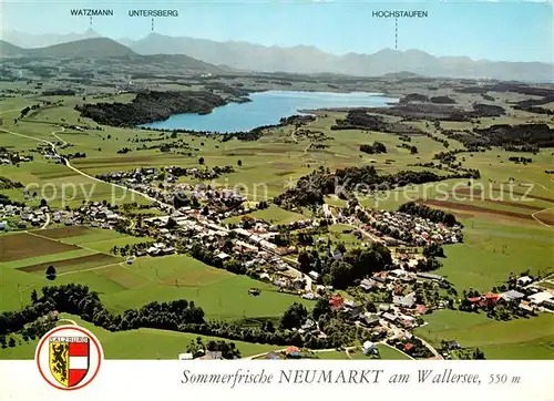 AK / Ansichtskarte Neumarkt_Wallersee Fliegeraufnahme mit Camping Minigolf Strandbad Bootshafen Neumarkt_Wallersee