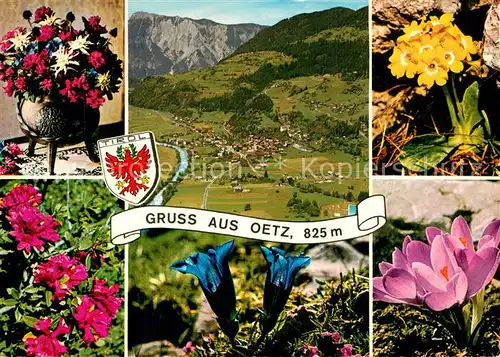 AK / Ansichtskarte Oetz Panorama Teilansichten Alpenflora Oetz