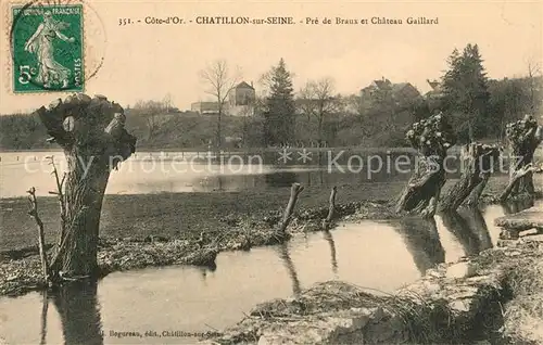 AK / Ansichtskarte Chatillon sur Seine Pre de Braux et Chateau Gaillard Chatillon sur Seine