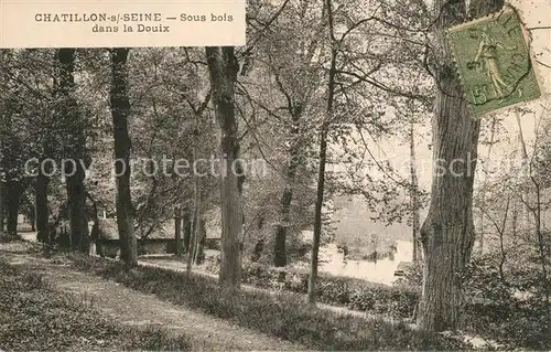 AK / Ansichtskarte Chatillon sur Seine Sous bois dans la Douix Chatillon sur Seine