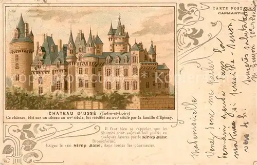 AK / Ansichtskarte Usse_Rigny Chateau Usse_Rigny
