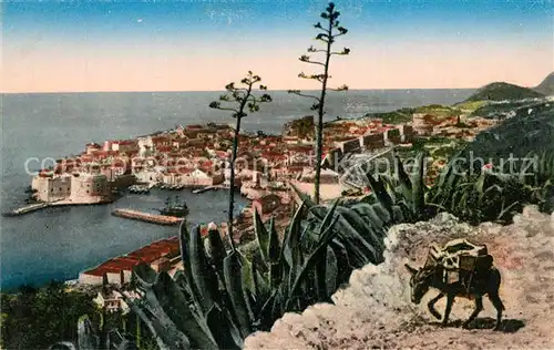 AK / Ansichtskarte Dubrovnik_Ragusa Panorama Dubrovnik Ragusa