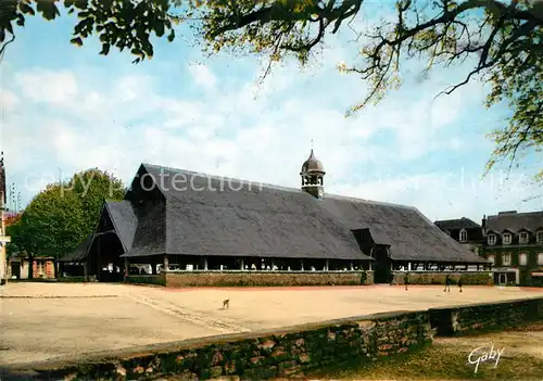 AK / Ansichtskarte Le_Faouet_Morbihan Les Halles Le_Faouet_Morbihan