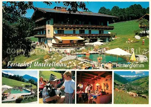 AK / Ansichtskarte Hinterglemm_Saalbach Ferienhof Unterellmau Swimming Pool Almvieh Landschaftspanorama Alpen Hinterglemm_Saalbach